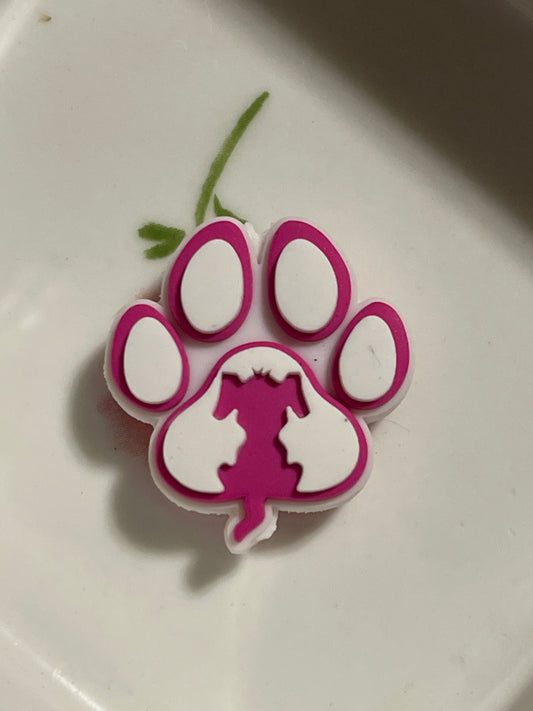 Pink dog, Paw￼