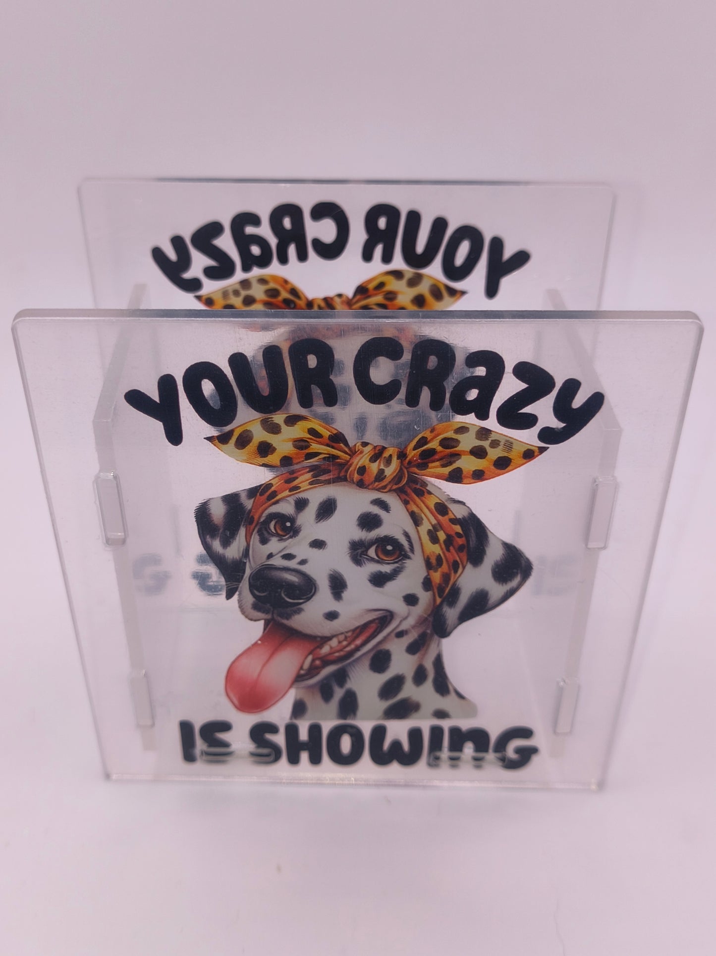 Your Crazy Is Showing With Dalmatian Double Sided Pen Box(100)